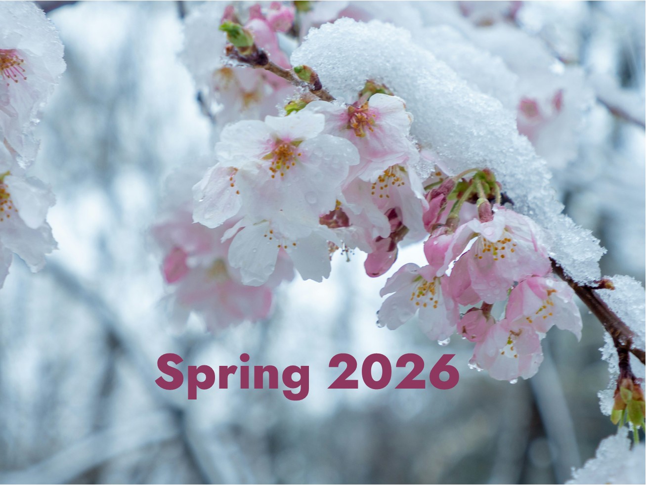 Spring 2026 Session